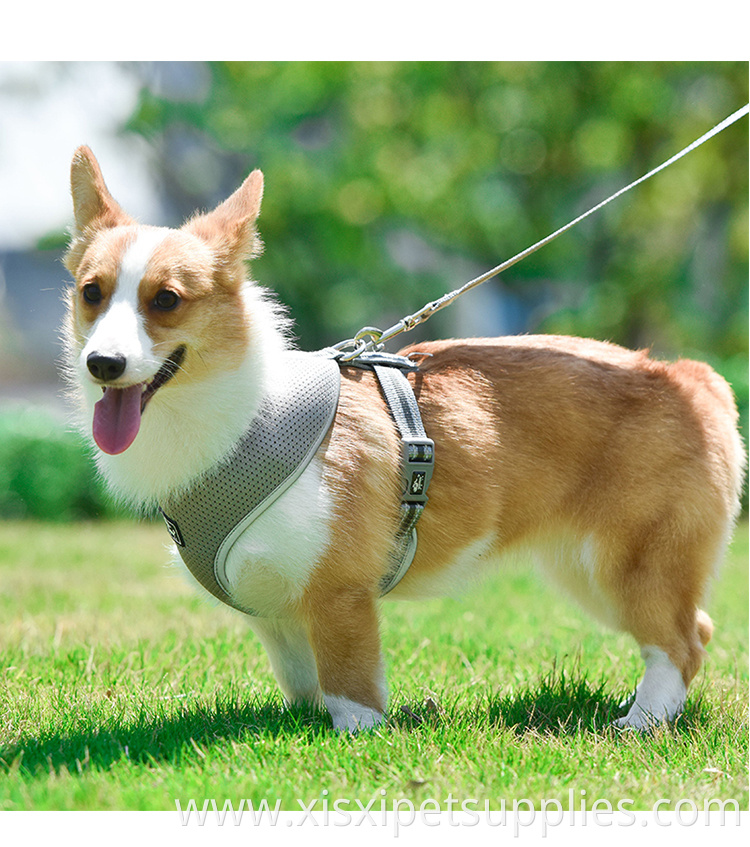 Wholesale OEM Adjustable Dog Harness